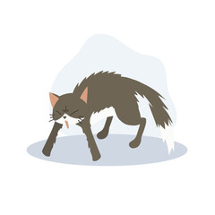  Cat in Aggressive Posture with Fluffed Up Fur. Frightened Cat. Scared Cat