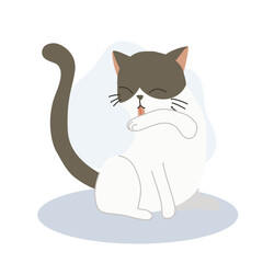 Cute kitten licking its arm for self-grooming,  cleanliness.  Adorable pet hygiene.