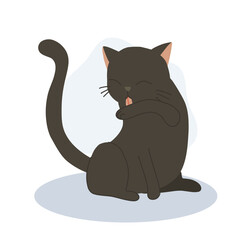 Cute kitten licking its arm for self-grooming,  cleanliness.  Adorable pet hygiene.
