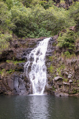 Fototapeta premium Waimea Falls Hawaii Waterfall Oahu