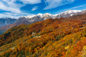 唐松岳と白馬三山を望む栂池高原の秋の三段紅葉