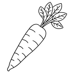Carrot line art vector illustration 
