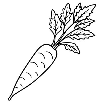 recommend clip art: Carrot line art vector illustration 