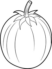 Tomato line art vector illustration 
