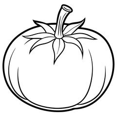Tomato line art vector illustration 
