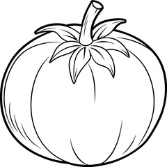 Tomato line art vector illustration 
