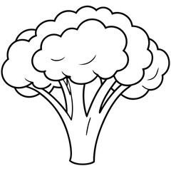 Line art of broccoli vector illustration 