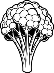 Line art of broccoli vector illustration 
