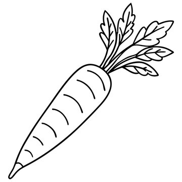 recommend clip art: Carrot line art vector illustration 