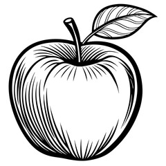Apple with a leaf line art vector 