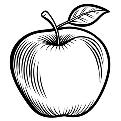 Apple with a leaf line art vector 
