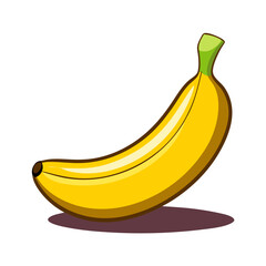 vector illustration of a banana