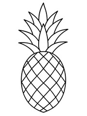 Fototapeta premium line art of a pineapple 