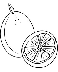  Line art of a lime vector illustration 
