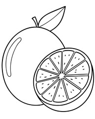  Line art of a lime vector illustration 
