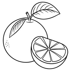 Orange fruit with leaves and slice line art. Vector illustration
