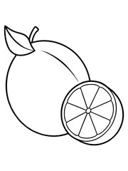 Lemon line art vector illustration 