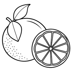 Lemon line art vector illustration 