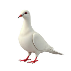 Obraz premium Dove isolated on transparent background