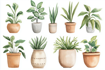 Obraz premium plants in pots