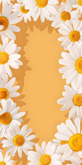Fototapeta premium A blue background with a bunch of white flowers. The flowers are in a circle and are spread out