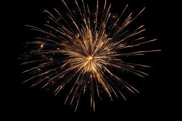 Obraz premium Fireworks exploding in the night sky, shining beautifully with vibrant colors.