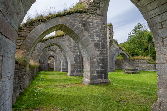 Close-up of intricate stone details at Alvastra Monastery ruins. Showcase the craftsmanship and age of this historic site. Ideal for architecture, history, and cultural projects.
