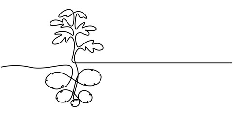 Simple potato plant design in continuous line art drawing style. Growing potatoes on the field. Vector illustration, The potato is drawn with one solid line. Healthy vegetable. The object is drawn © Line emotion