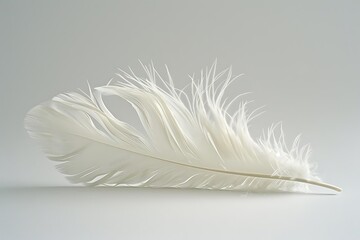 Obraz premium A delicate white feather resting on a light background.