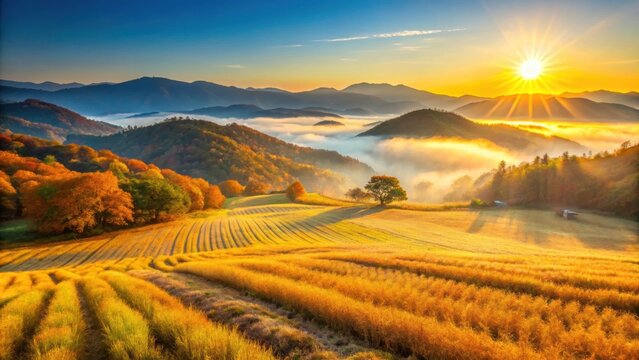 Sunrise illuminating the geumgogseowon in a golden field during autumn , Yecheon, South Korea, sunrise