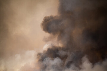 thick wildfire smoke fills the air