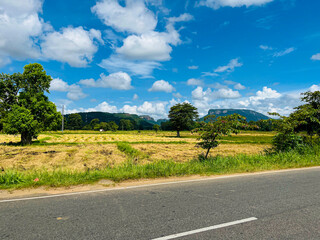 Naklejka premium A beautiful view with a mountain