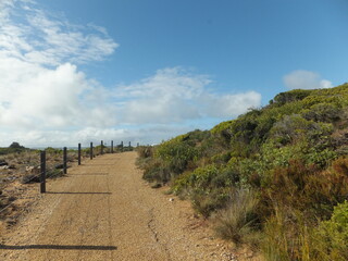 path to the sea