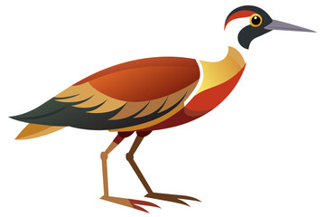 Jacana Bird vector art  illustration