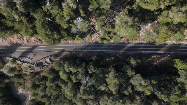 Aerial Dron image captures a scenic section of the Route of Seven Lakes, winding through lush forested areas in Patagonia, Argentina.