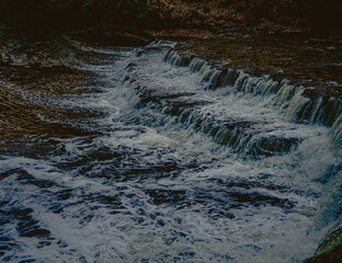 water flowing in the forest