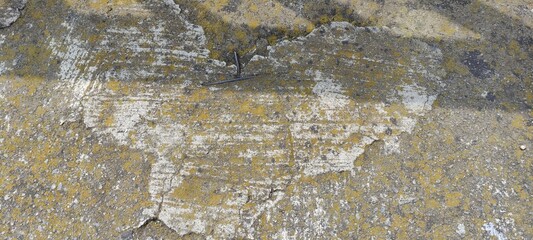 Happy Valentine's Day, a cute heart carved by hand with love,,Feliz san Valentín,   un lindo  corazón  tallado a mano con cariño