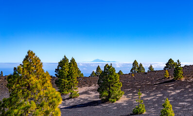 Volcanic landscape along Ruta de los Volcanes, Cumbre Vieja, Island La Palma, Canary Islands, Spain, Europe.