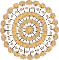 A simple Mandala Design