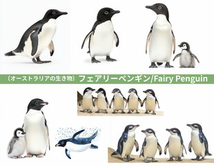 Obraz premium フェアリーペンギン/Fairy Penguin オーストラリアの生き物、背景白の切り抜きセット Generative AI