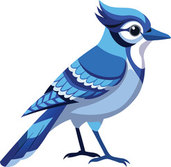 Blue jay full body vector Illustration, on a isolated background, EPS
