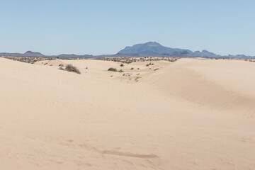 Photography without people of the sandy desert of Samalayuca with soft sand dunes, and hills on the horizon under a clear blue sky, arid lands to go on vacation or travel