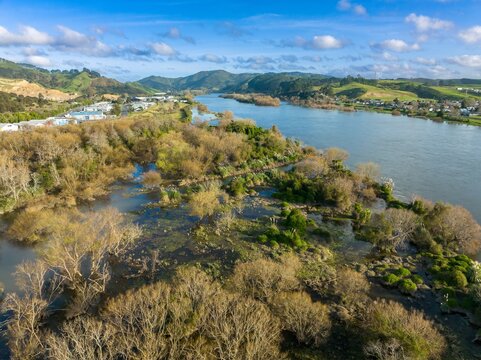 Swampland on the banks of the Waikato River, Huntly, Waikato, New Zealand.