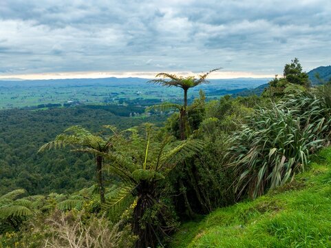 Lookout point across hills and farmland in Tauranga-Piarere, Matamata, Waikato, New Zealand.