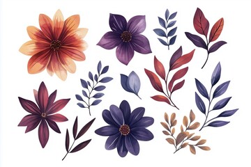 Vibrant Watercolor Flowers in Various Shapes and Colors, Arranged on a White Background