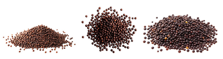 Three distinct piles of mustard seeds showcasing various sizes and textures on a clean white background.