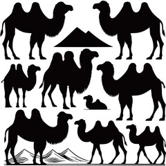 Big Camel set flat silhouette vector graphics free download