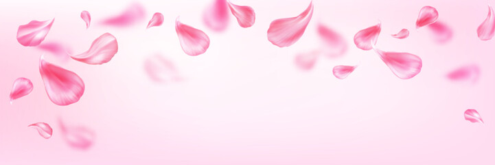 Pastel background with pink flower petal for spring time and spa service design. Realistic 3d vector falling and flying rose or sakura blossom leaves. Floral bloom elements for romantic concept.