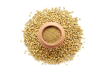 A mud pot filled with organic Coriander (Coriandrum sativum) powder, placed over a heap of whole Coriander seeds, isolated on a white background.