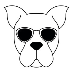 a dog's head. The dog appears to be a boxer or a similar breed, with a wrinkled face and a pointed nose. It is wearing large, round sunglasses with a white frame and dark lenses